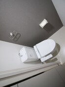 トイレ ブライジング