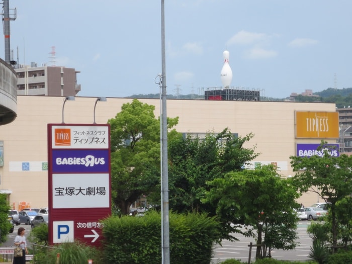 ベビザラス(ディスカウントショップ)まで120m シャンボール 宝塚
