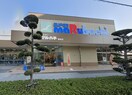 マルハチ(スーパー)まで400m 岡村マンション