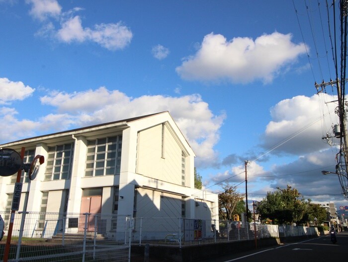 南公園小体育館(公園)まで800m Ｙ．Ｍ．Ｄチセ