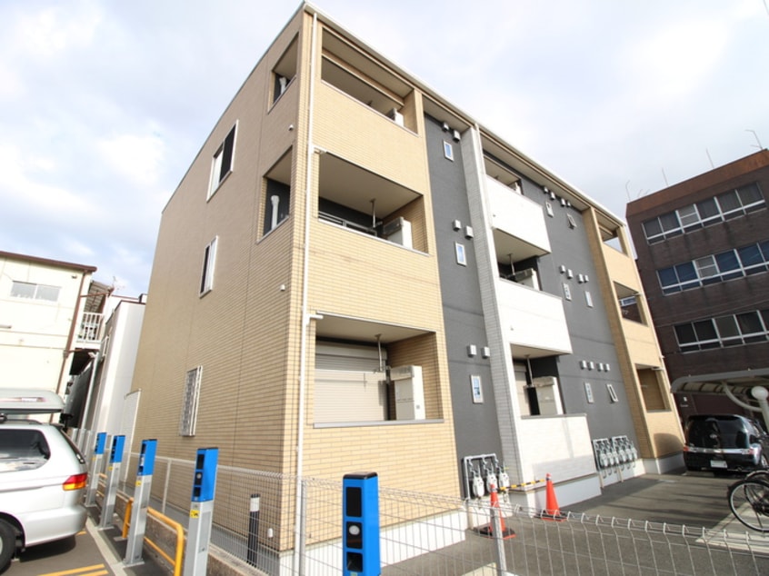 その他 フェリチェート