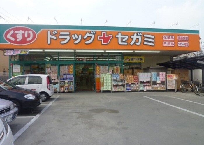 セガミ(ドラッグストア)まで624m アム－ル　レオ