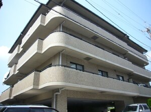 ラフィーネつじ