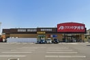 クスリのアオキ(ドラッグストア)まで280m ミアカーサ　萩原天神
