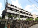 シティコア夙川(209)の外観