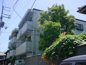 グレース桃谷