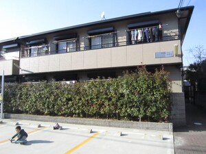 オリーブ羽衣Ⅰ