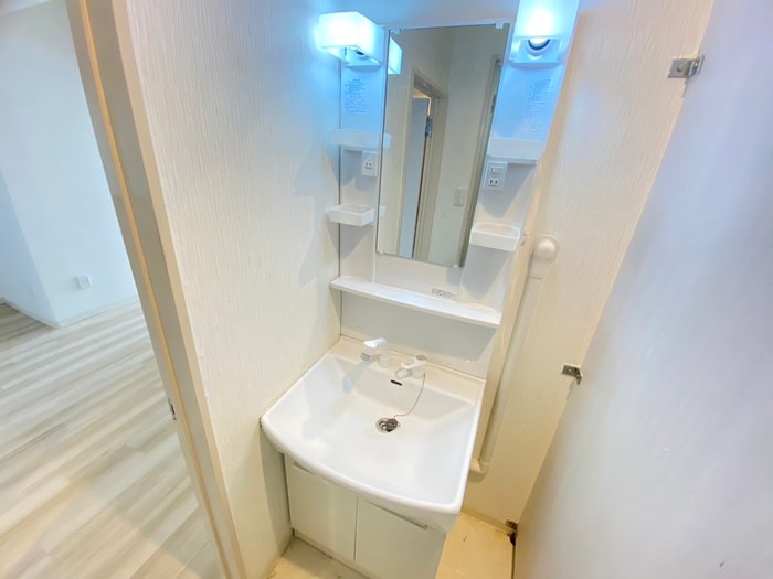 洗面 アネックス桃山