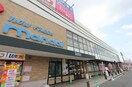 万代　渋川店(スーパー)まで868m Vier Casa D