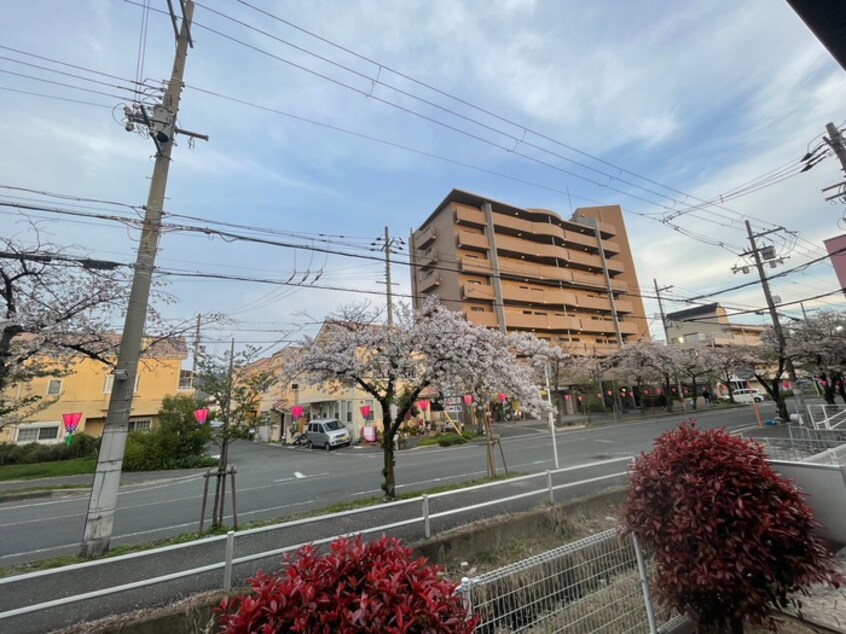 室内からの展望 美・スリズィエ