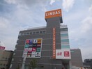 リノアス(ショッピングセンター/アウトレットモール)まで734m ガ－デンライフ旭ヶ丘