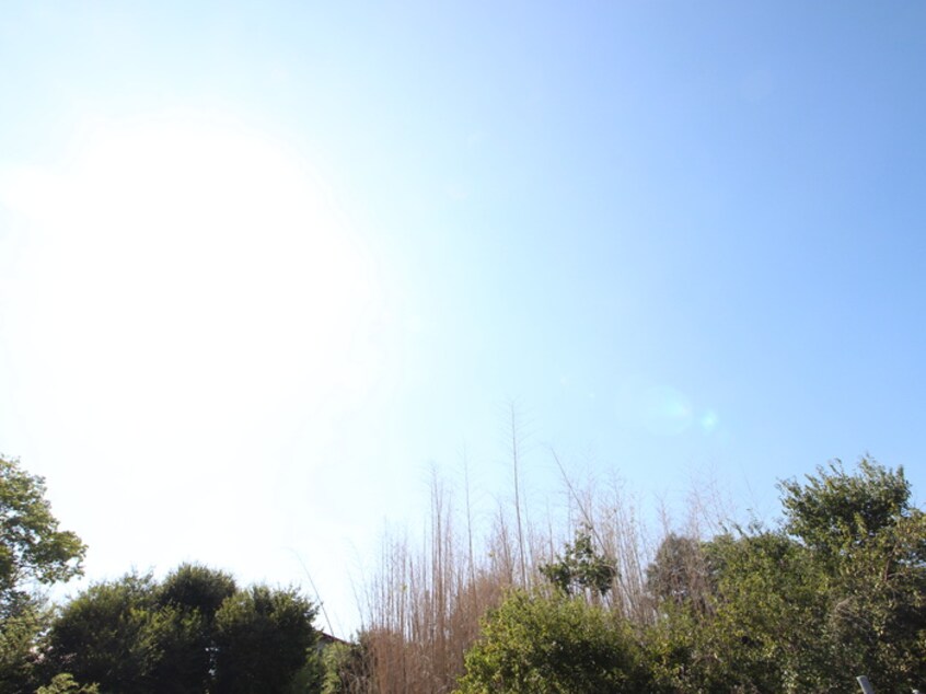 室内からの展望 プライジア