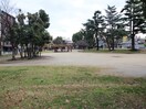 西長居公園(公園)まで190m サニーハイツ長居
