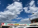 スギ薬局(ドラッグストア)まで260m グレ－ス三田