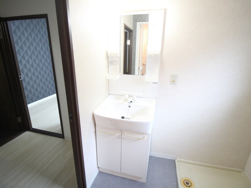 洗面 シェモア鞍馬口(301)