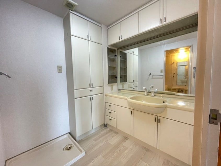洗面 カルム長岡京(204)