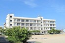 明石市立谷八木小学区(小学校)まで650m エルカーサ