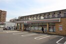 セブンイレブン堺浜寺石津町中店(コンビニ)まで900m フジパレス浜寺石津西