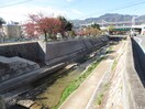 都賀川(公園)まで171m ローレル千旦