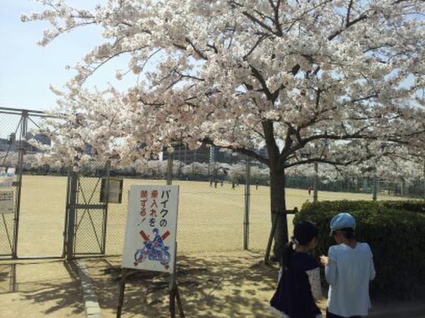 上が池公園(公園)まで230m 誠光ハイツ