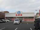 西松屋寺方店(ショッピングセンター/アウトレットモール)まで198m 菊水マンション