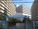 東大阪市立総合病院(病院)まで1030m プレミール壱番館