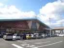 山陽マルナカ　貝塚店(スーパー)まで1400m 福永マンション