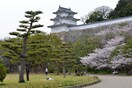 明石公園(公園)まで450m クレアメゾン明石上ノ丸