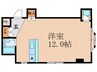 グレイスメゾンOZ 1Rの間取り