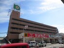 サンドラッグくずは店(ドラッグストア)まで579m グリーンパーク楠葉　B棟