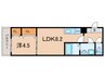 仮)ジーメゾン加古川平岡町 1LDKの間取り