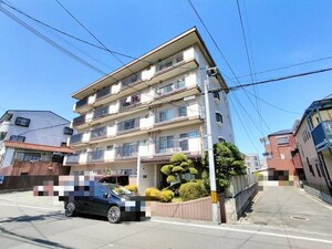 ホワイトシャンボール
