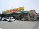 ジャパン(ディスカウントショップ)まで1100m ランプロン
