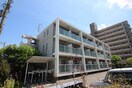 外観写真 コ－ト石津川