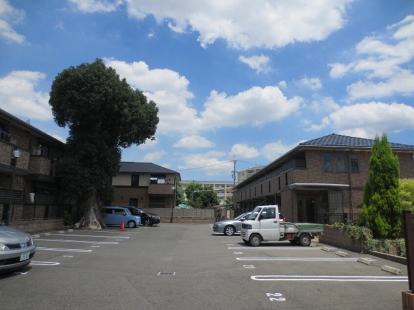駐車場 ルピナスＣ棟