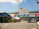 コーナン(電気量販店/ホームセンター)まで400m フジパレス瓜破Ⅰ番館