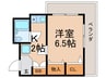 ハイツ菩提樹 1Kの間取り