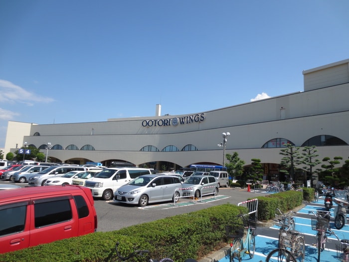 ダイエー鳳店(スーパー)まで160m Ｃｏｌｌｅｃｔｉｏｎ鳳東町