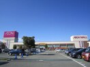 イオン(ショッピングセンター/アウトレットモール)まで772m ALEGRIA日根野　Ｎｏｒｔｈ