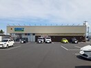 ゲンキー(ドラッグストア)まで500m サンロイヤル