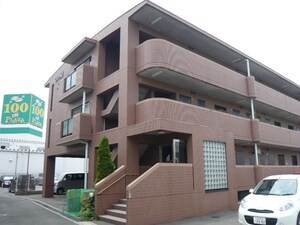 Ｏｒｃｈｉｄ　ＫＯＩＤＥ