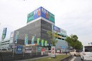 エディオン(電気量販店/ホームセンター)まで1200m G-goveｒn楠根