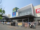 コーナン高槻城西店(ディスカウントショップ)まで500m 藤田コーポ