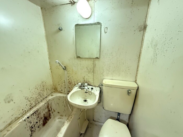 洗面 ロイヤル平野東