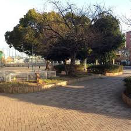 平野東公園(公園)まで255m ロイヤル平野東