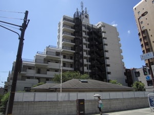 カサベラ岡本(801)