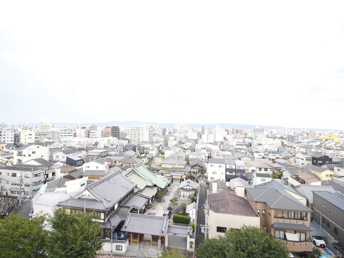 室内からの展望 ｽﾌﾟﾗﾝﾃﾞｨｯﾄﾞ天王寺ﾊﾟｰｸｻｲﾄﾞ