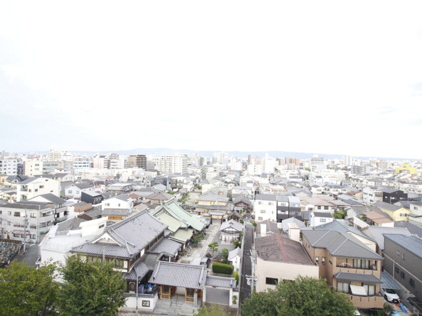 室内からの展望 ｽﾌﾟﾗﾝﾃﾞｨｯﾄﾞ天王寺ﾊﾟｰｸｻｲﾄﾞ