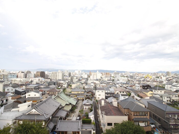 室内からの展望 ｽﾌﾟﾗﾝﾃﾞｨｯﾄﾞ天王寺ﾊﾟｰｸｻｲﾄﾞ