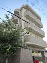 オリーブ上松